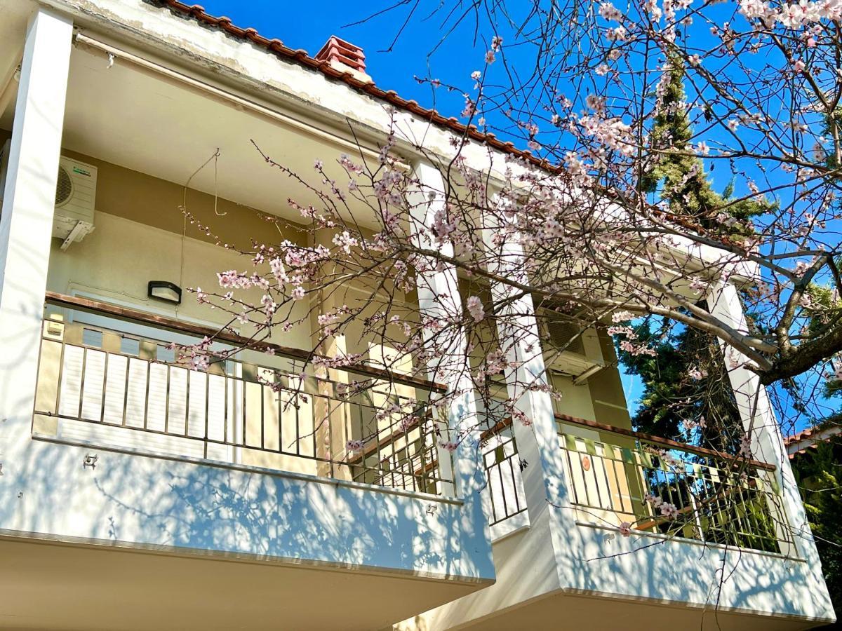 Nikiti Beach Houses Exterior photo